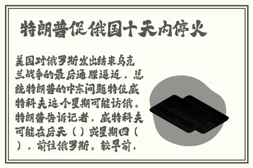 国内精品老年人视频网站